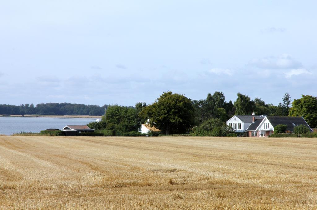 Stevns Klint Strandpension Rodvig Exterior photo